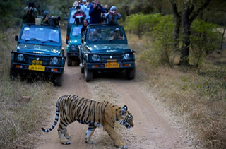 Same day Ajmer Pushkar